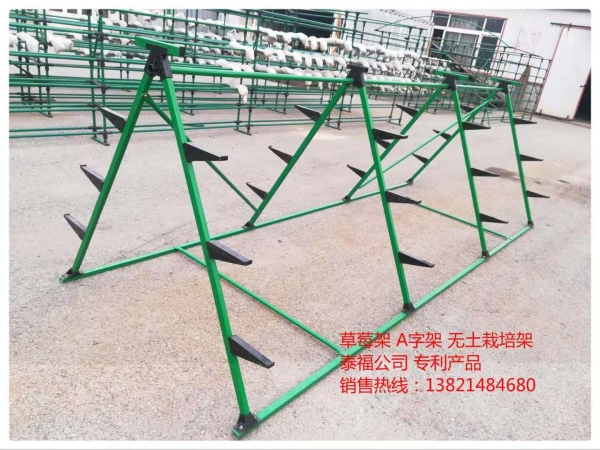 草莓架，A字架